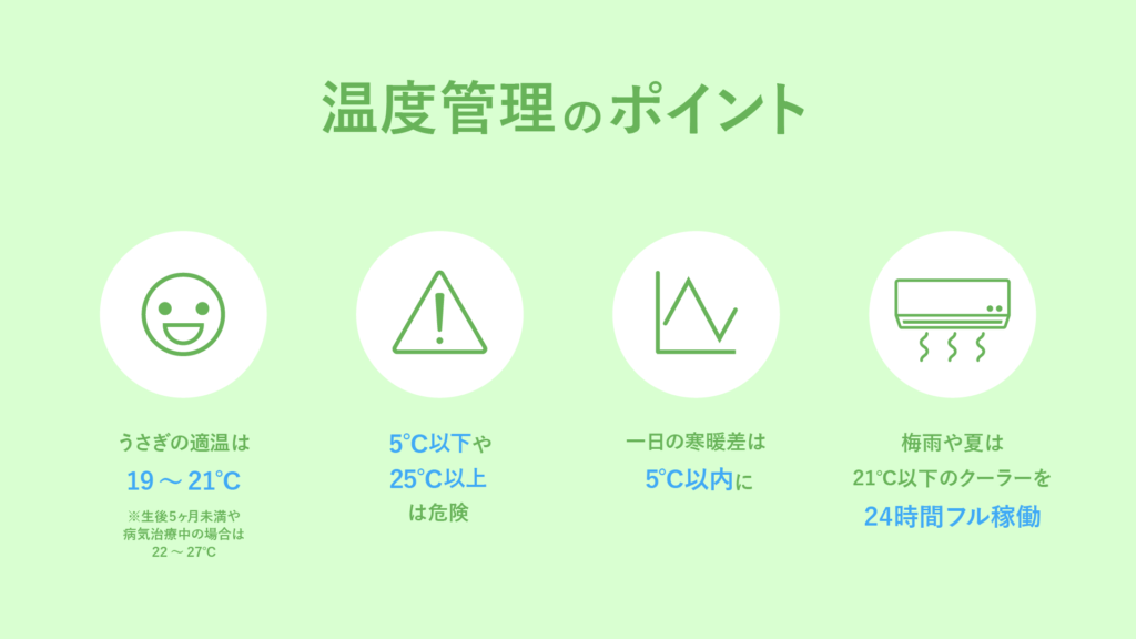 うさぎ部屋の温度管理のポイント