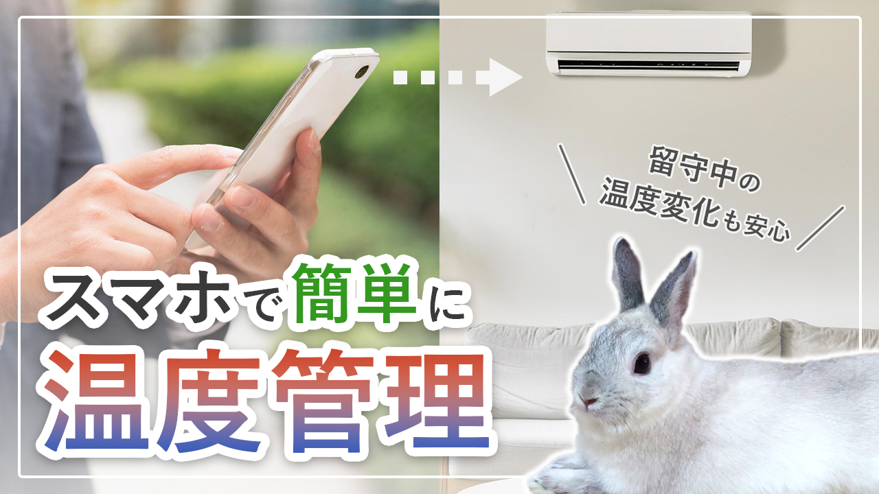 うさぎ用の温度計はどれがおすすめ？ケージの温度管理にピッタリな温